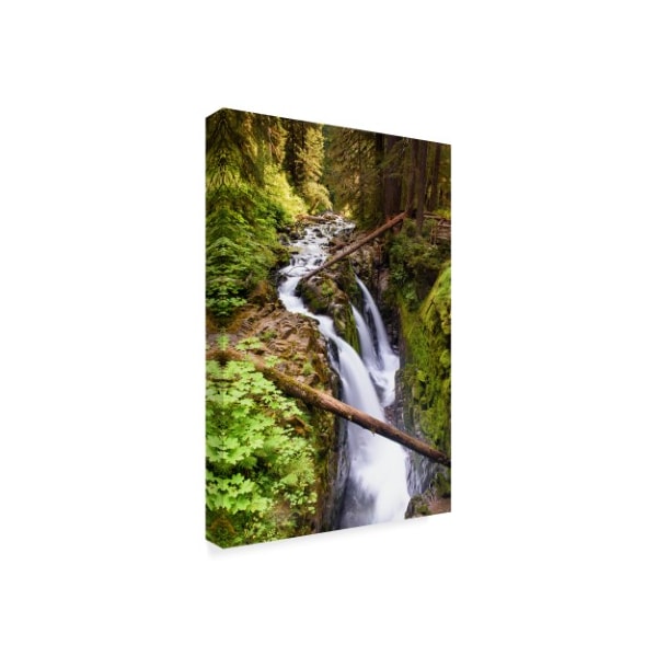 Michael Blanchette Photography 'Sol Duc Falls' Canvas Art,16x24